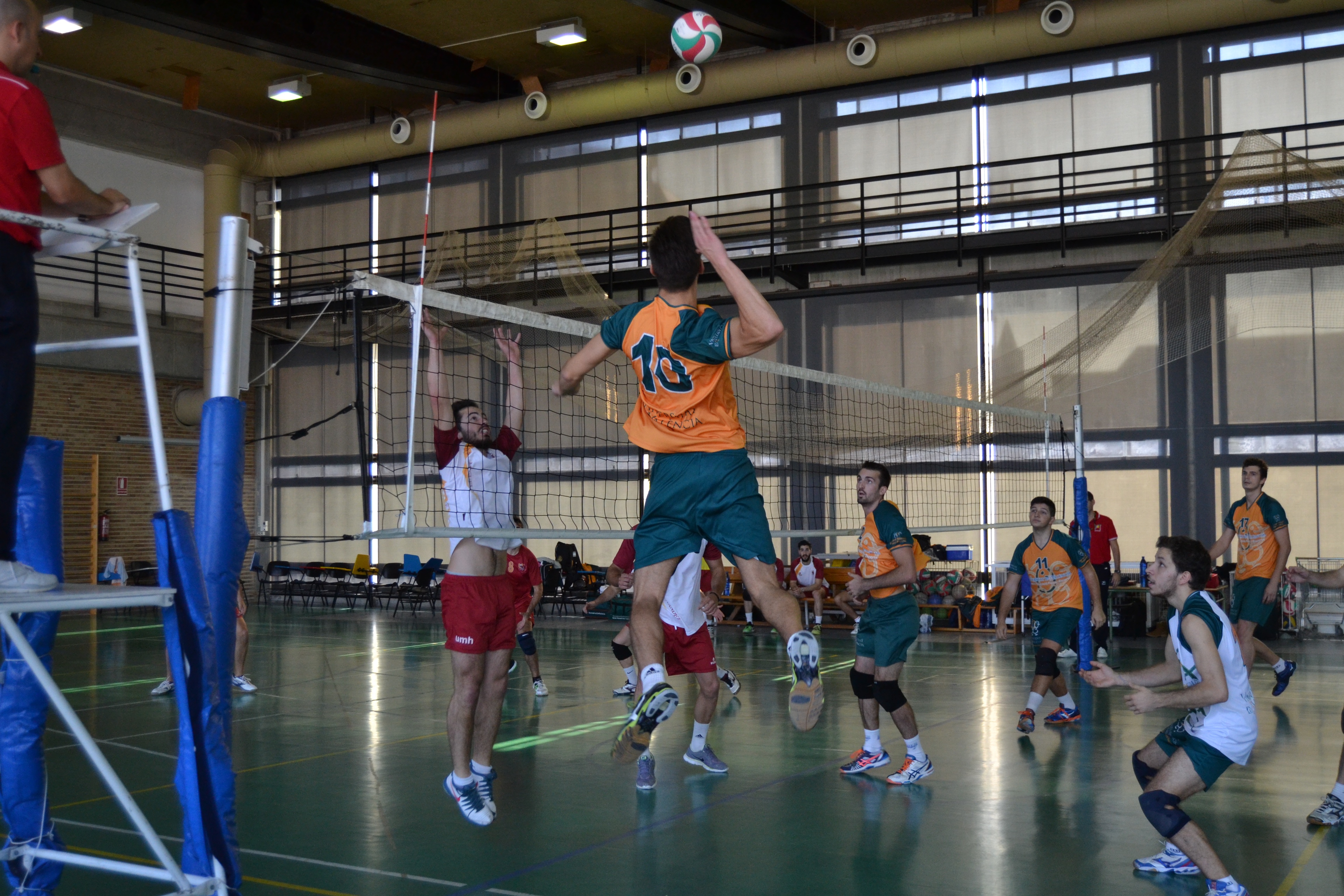 Voleibol masculino